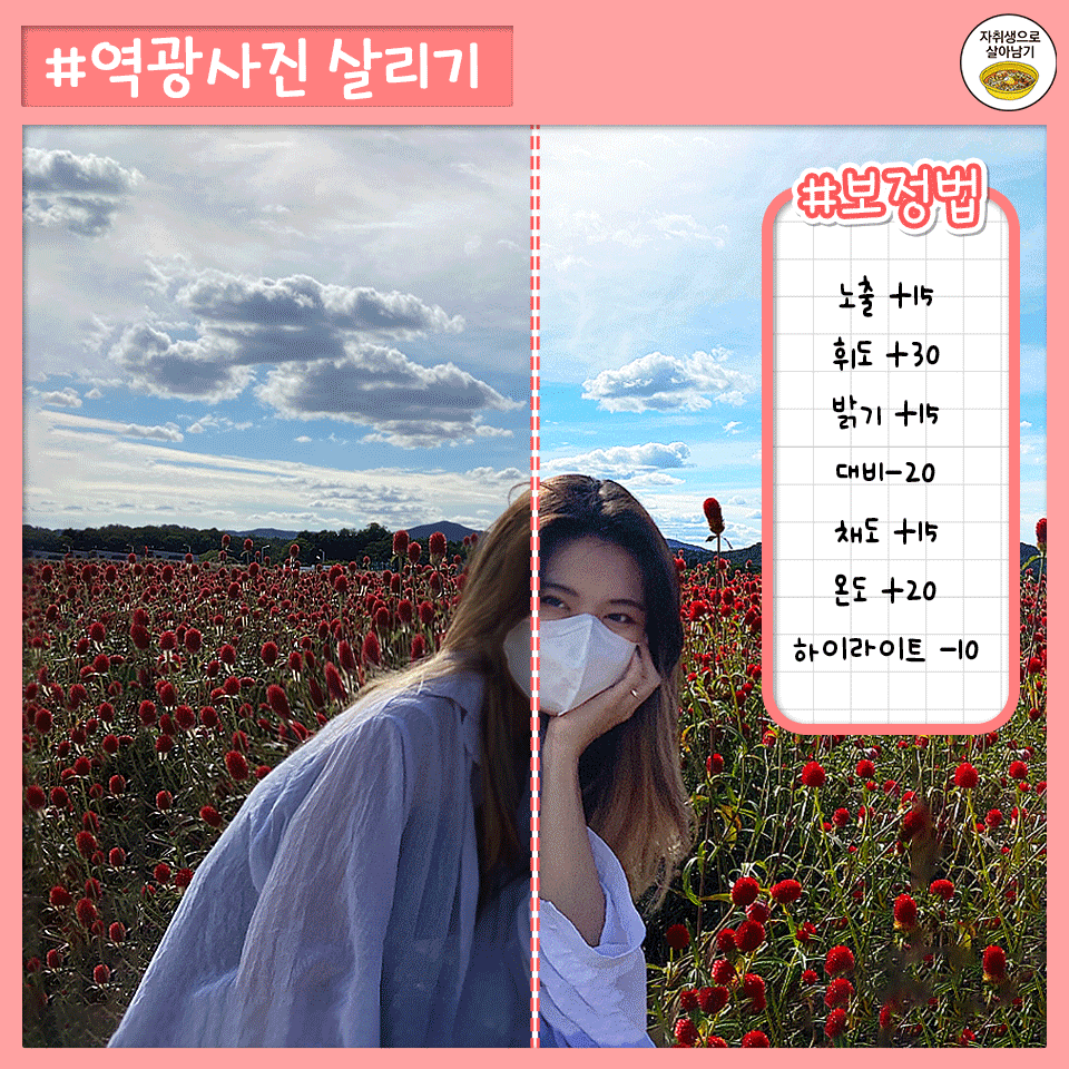 honeytip_backup's tweet photo. 망한 사진도 살려내는 마성의 꿀팁 모음 https://t.co/5xWjjanAxq