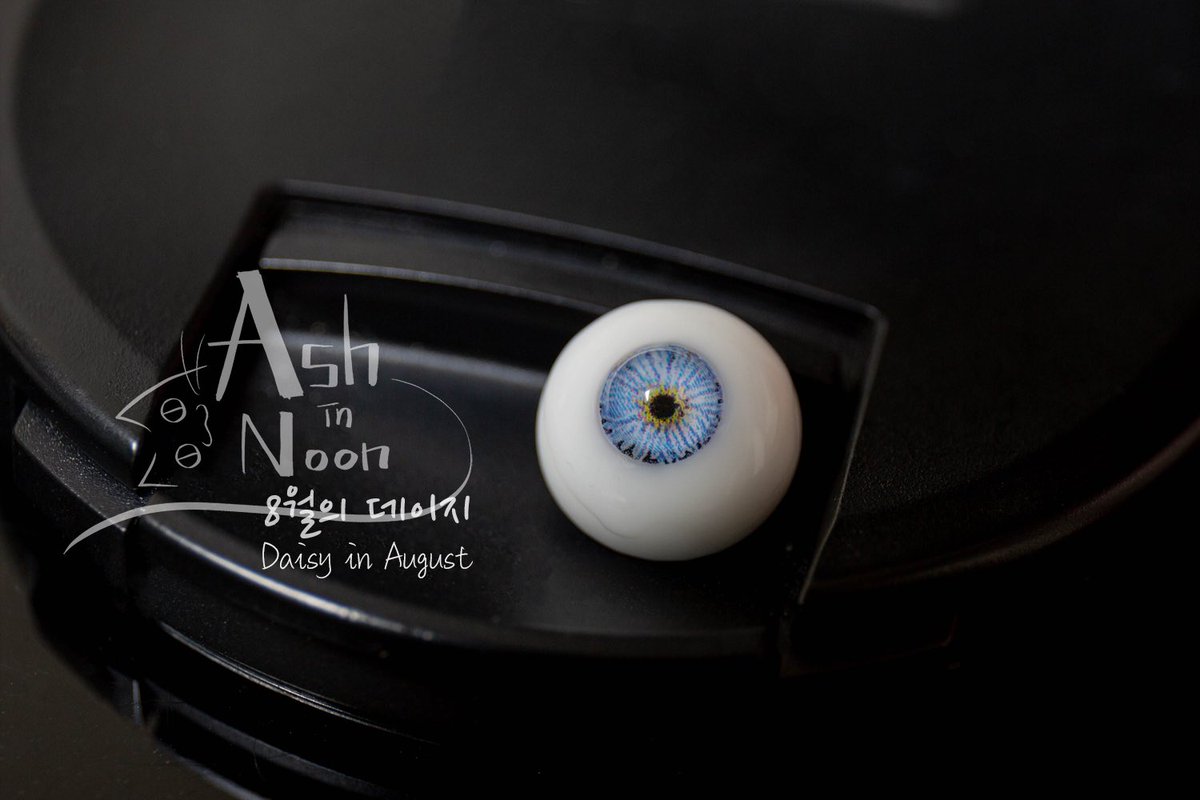 ashinnoon's tweet photo. [8월의 데이지] 8월의 데이지 / Daisy in August https://t.co/Ba7ARuu8Pi