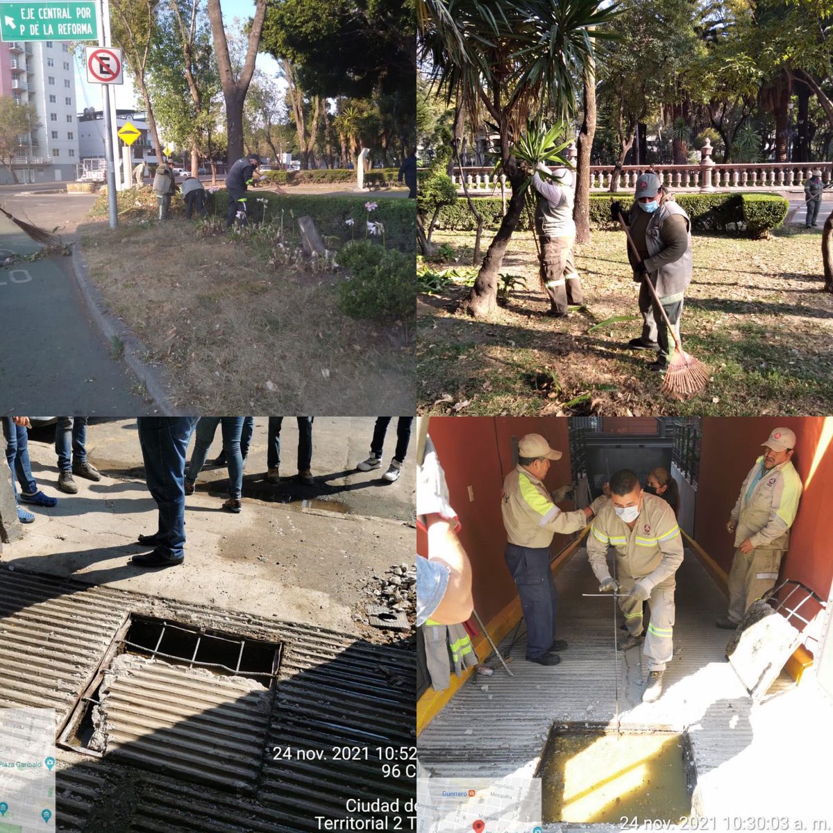 AlcCuauhtemocMx's tweet photo. ✅Retiro de rampa en mal estado en edificio #PrimoVerdad
✅Poda en el área de juegos del edificio #15DeSeptiembre
✅Retiro de residuos de poda en edificio #Tabasco
✅Retiro de pendones y publicidad en postes en #AvInsurgentes
✅Jardinería en #JardínSantiago
#CuauhtémocEsTuCasa🏠 https://t.co/O9PvCVymmD