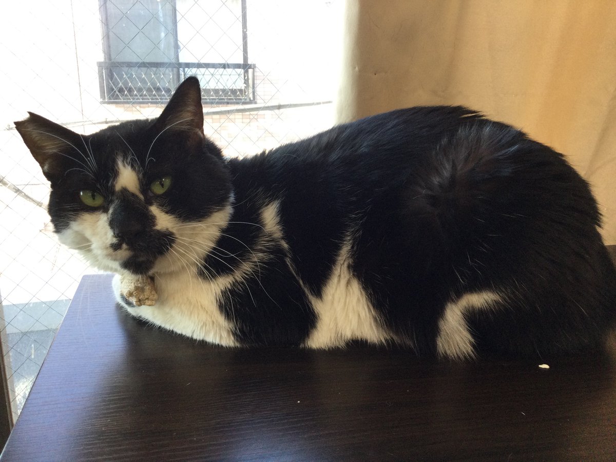 みんなの「ドーパミン ホルモン」 口コミ・評判|食べたいランチ・夜