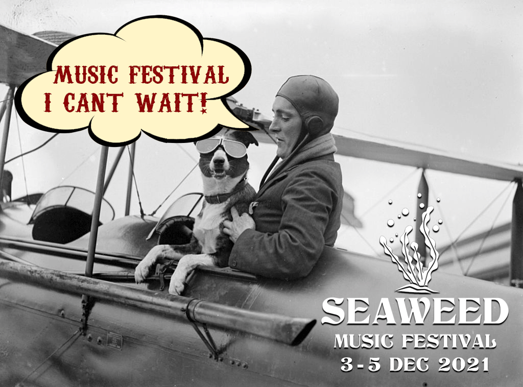 CWeedEvents's tweet image. There's a new music festival in KZN...For more info qkt.io/QUs2YW  #musicfestivals #music