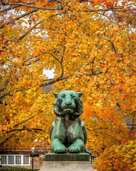 visitprinceton's tweet photo. What can we say, we have the best community. We are so thankful for all of you, visitors and residents of Mercer County. You make this an incredible place to live, and we love sharing with you all. Hope you have a wonderful Thanksgiving tomorrow! 🍂 

📸 : @Paledrunkmonk https://t.co/RxipB3teGR