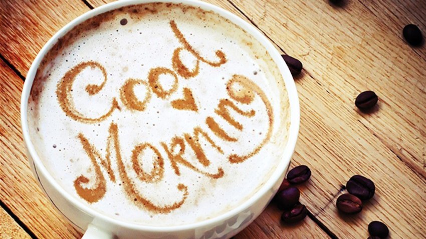 axieARCC's tweet photo. gm! https://t.co/PZ5nQVf1P4