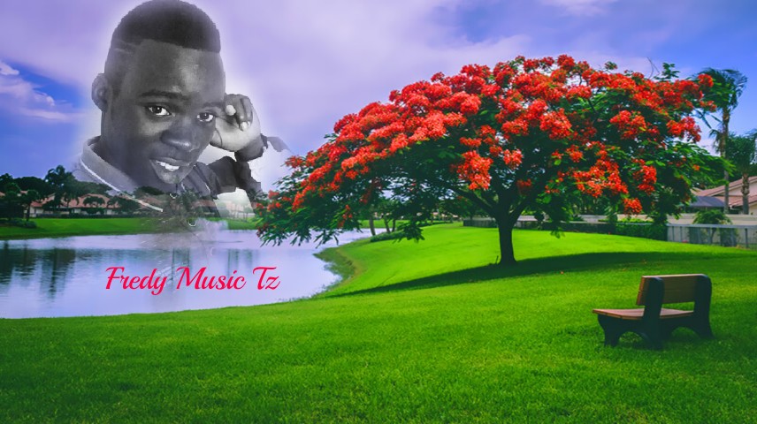 New comer artist#Fredymusictz