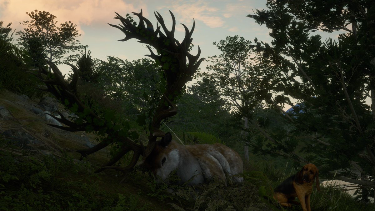 tocadobalrog's tweet photo. Ta ai clã, o bitelo abatido com a Rhino .454 a 100m, ao vivo e com muito nervosismo!
#thehunter #thehuntercallofthewild #thehuntercotw #callofthewild #greaterone
@theHunterCOTW https://t.co/vQB9Epq9vR