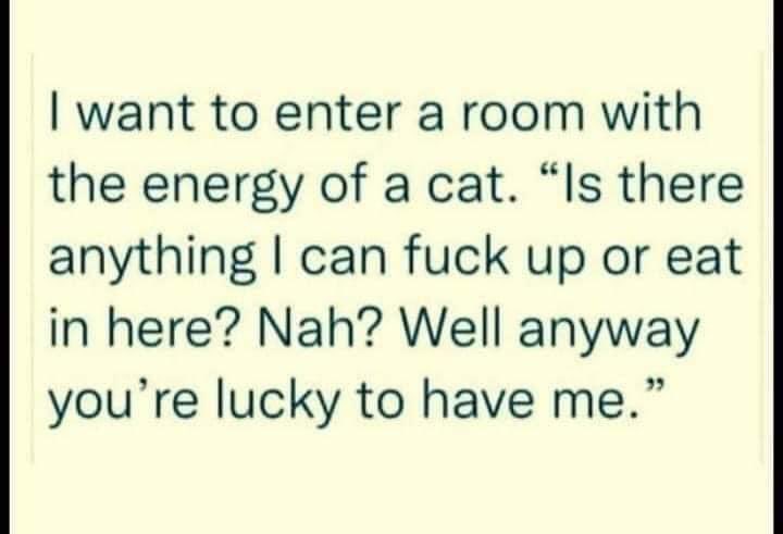 BelleProblems's tweet photo. The only way I will be entering rooms from now on. https://t.co/QuRzM9v9Ny