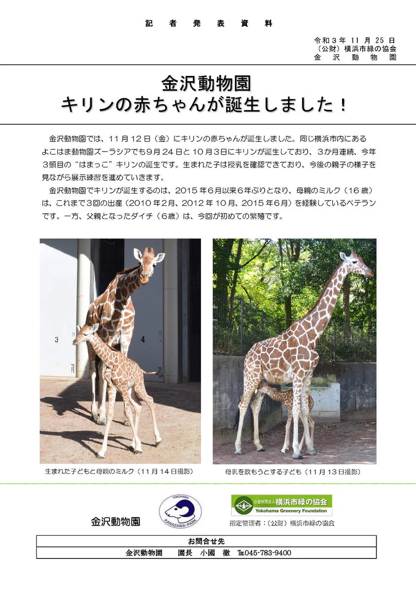 横浜市立金沢動物園【公式】 on X: 