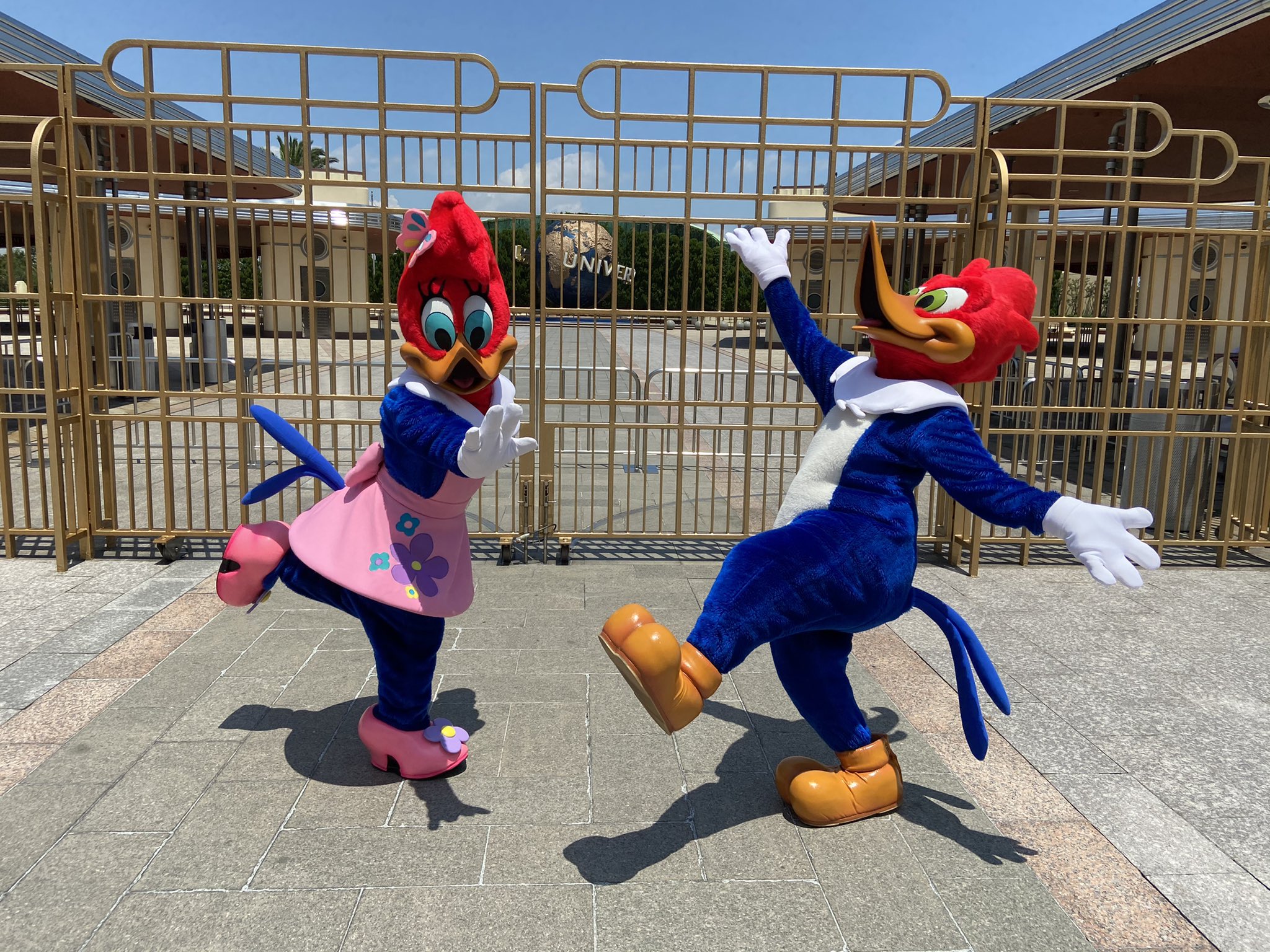 まりも Usj Ku9ni2maru0 Usj Twitter