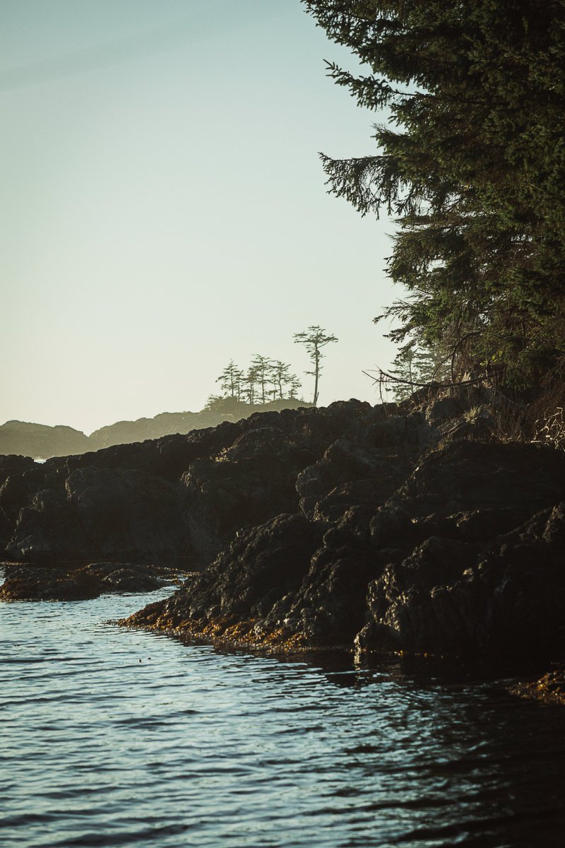 devon_mac's tweet photo. I took a trip to #VancouverIsland back in September. I miss the ocean. It was nice to have it nearby again.

I did a lot of #landscapephotography while on that trip. https://t.co/useyJOgeuC