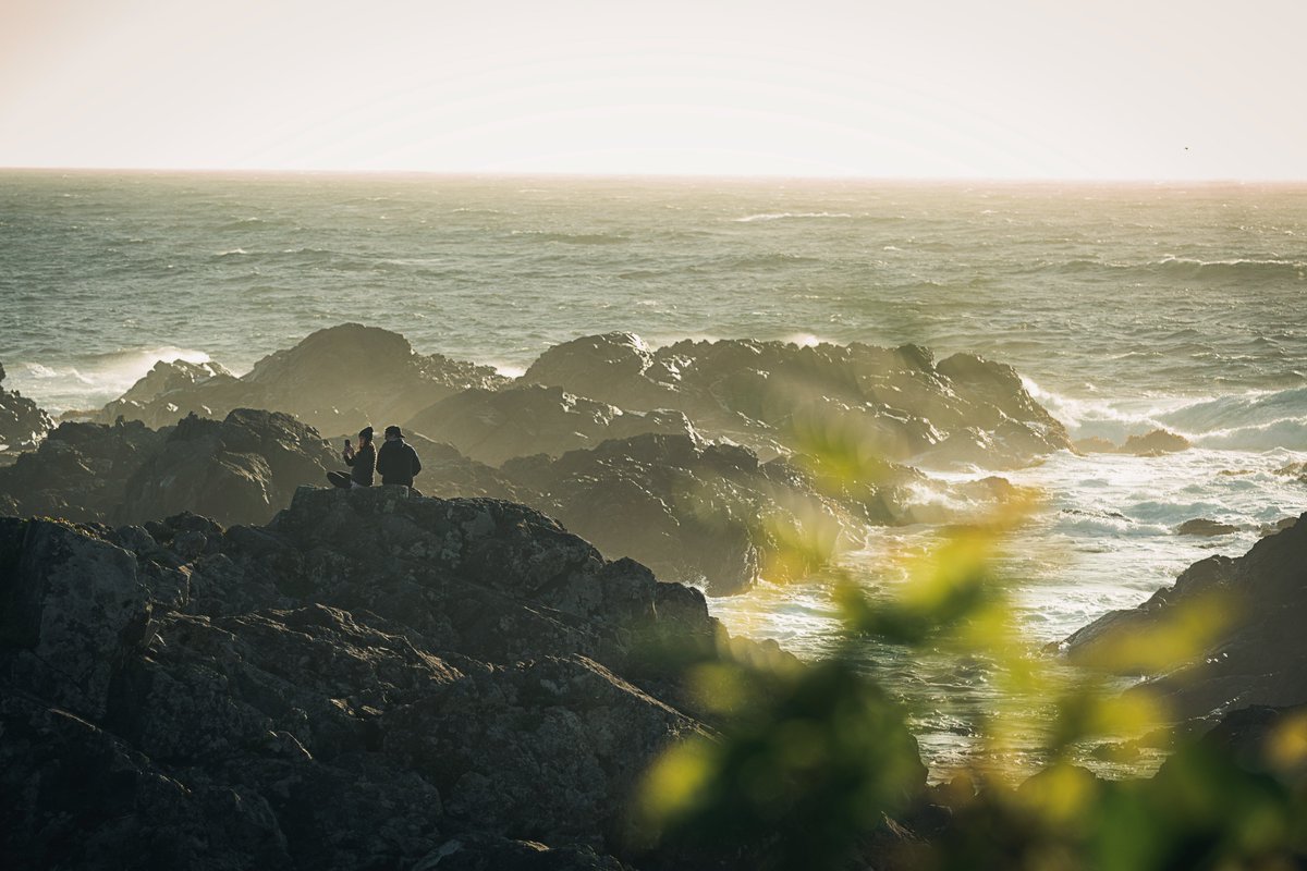 devon_mac's tweet photo. I took a trip to #VancouverIsland back in September. I miss the ocean. It was nice to have it nearby again.

I did a lot of #landscapephotography while on that trip. https://t.co/useyJOgeuC