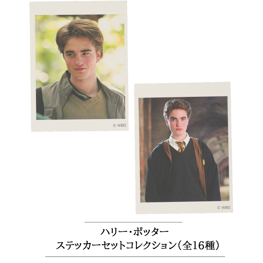 セドリック・ディゴリー グッズ まとめ売り | www.tspea.org