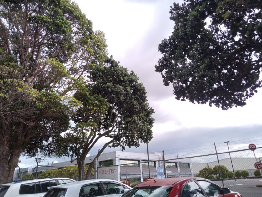 100% union worker power has shut down the major <a href="/woolworths/">Woolworths</a> food distribution centre in Favona. Eessential workers who worked all thru lockdown are demanding better pay + conditions! 2day is the 2nd day of total shutdown, festive music &amp; picket. Power to the workers @FIRST_Union