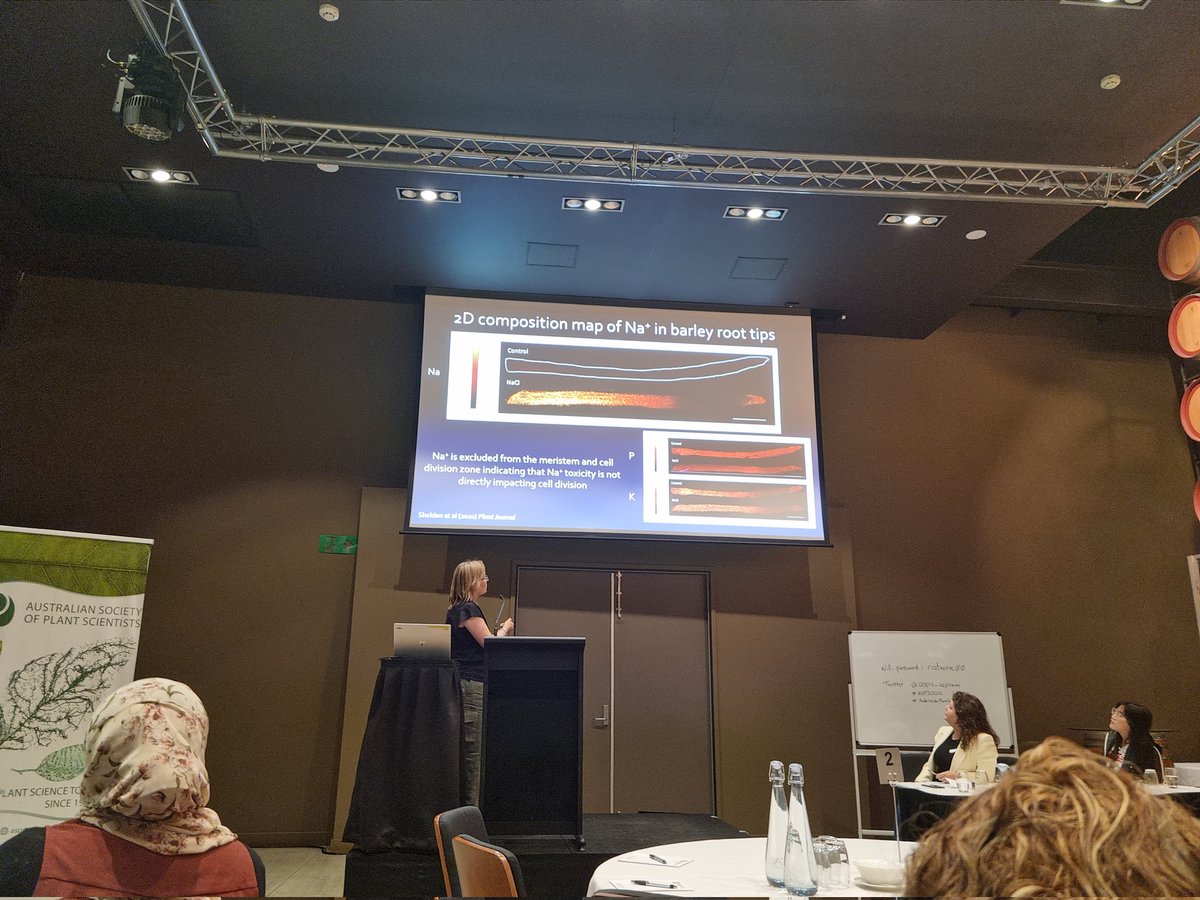 Very clear (and interesting!) talk by Dr Megan Shelden @megshelden on root growth response to salt stress in barley at #ASPS2021 <a href="/asps_ozplants/">Australian Society of Plant Scientists</a> #AdelaidePlantSci