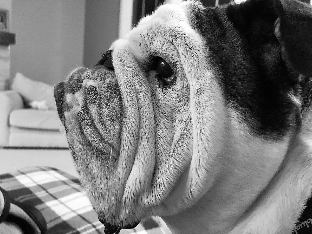 What’s this I hear about turkey? 🦃