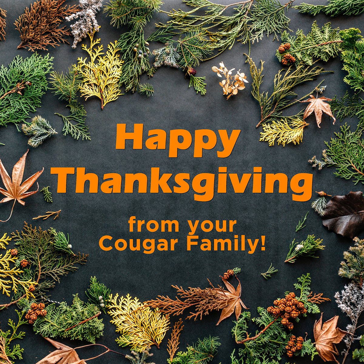 grosscatholic's tweet photo. From our Cougar Family to your family...
May you discover joy and bestow love during Thanksgiving Week.
#Thanksgiving #Thankful #Gratitude
Blessed Virgin Mary, lift our hearts!
#MariaDuce
#PrayForUs https://t.co/3ChATUuaMK