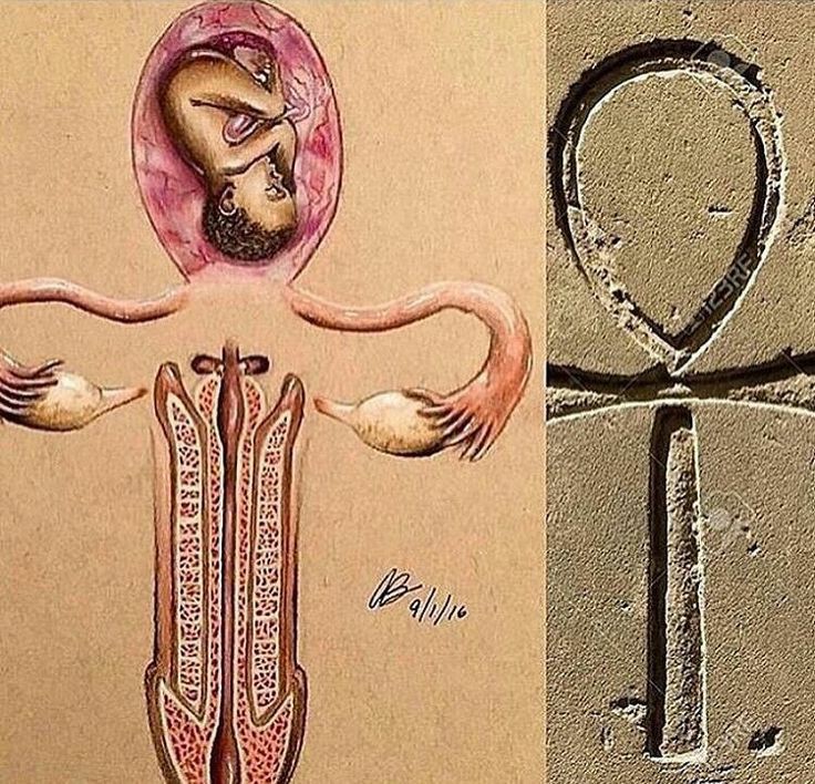 da13thsun™ tweet media