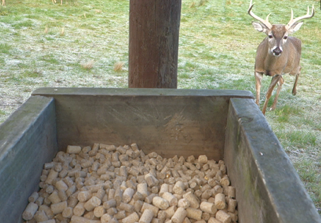 How do you avoid a cereal killer? Adding repellents to toxic baits is reasonably effective at keeping white tailed deer from eating a lethal dose. A new <a href="/ecolincnz/">Ecology<a href="/LincolnUniNZ/">Lincoln University</a></a> article at lincolnecology.org.nz/?p=7944
  @LincolnUniNZ