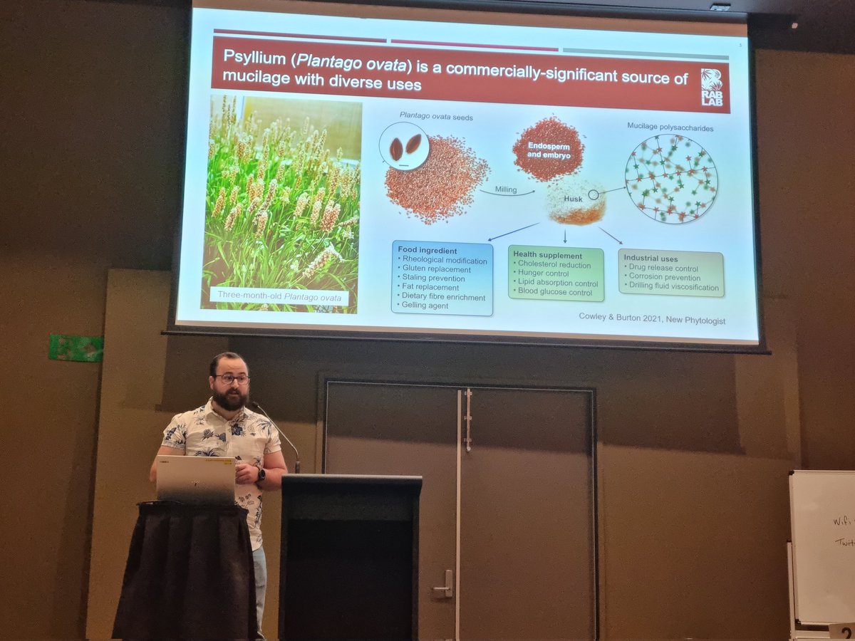 Fantastic talk by James Cowley <a href="/jamesmcowley/">Dr James Cowley</a> at #ASPS2021 on using Plantago ovata as a model for studying the plant cell wall! <a href="/asps_ozplants/">Australian Society of Plant Scientists</a> #AdelaidePlantSci