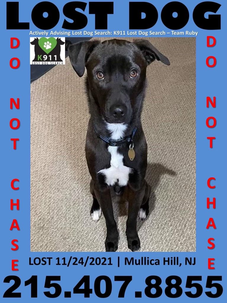 Anyone in NJ who can help, please do.
