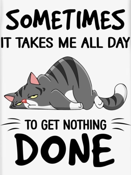 Mike Fletcher (@mikefle17448103) on Twitter photo 