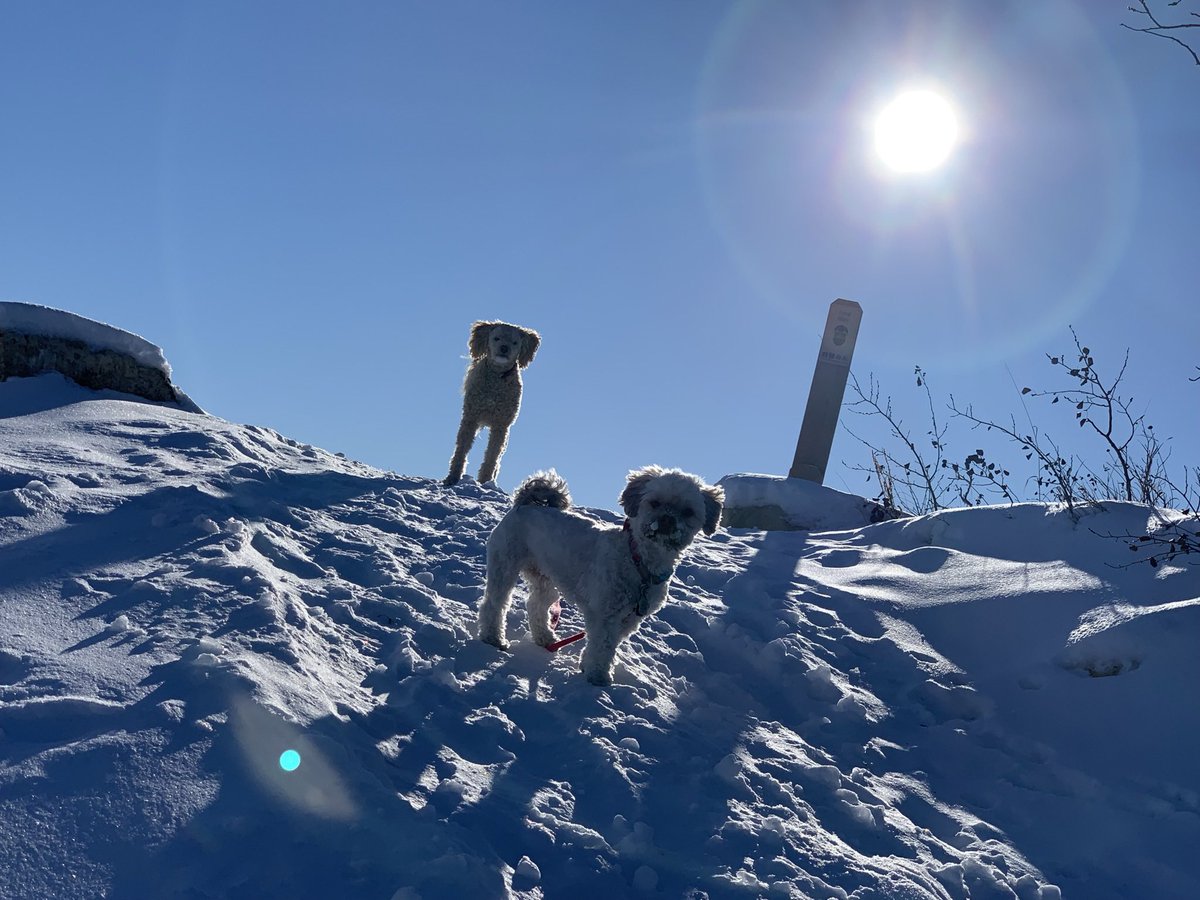 wpgshooter's tweet photo. @RexChapman Sun Dogs-The Bark Album https://t.co/Q6nQS4UXz4