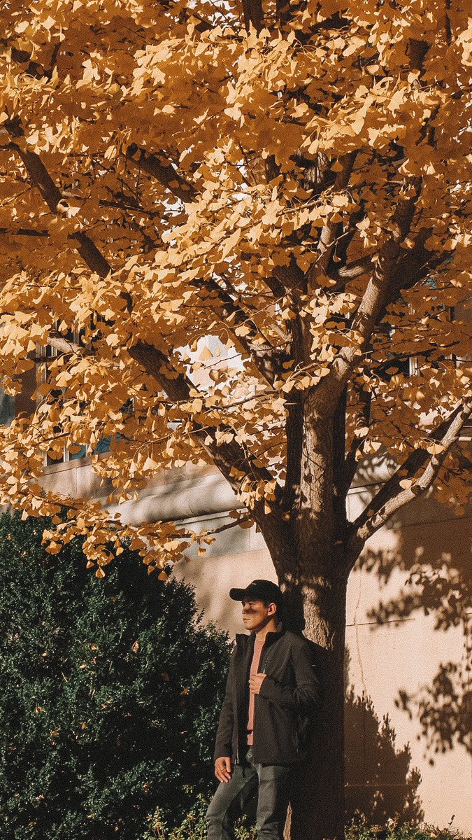 ohwmyjay's tweet photo. Autumn 🍂🍁 https://t.co/2Z5m04uVsg