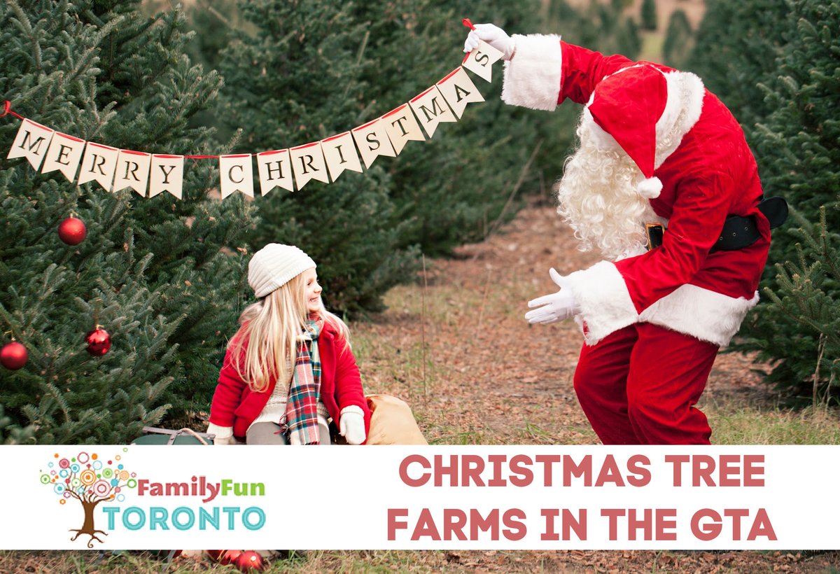 familyfunyyz's tweet image. There's nothing like the smell and feel of a real tree to get you in a holiday mood! So here is Your Guide to Christmas Tree Farms in the GTA.

Get all the festive details on our website! (Link in bio)

#familyfuntoronto #familyfunyyz #christmastreefarm #christmasonthefarm