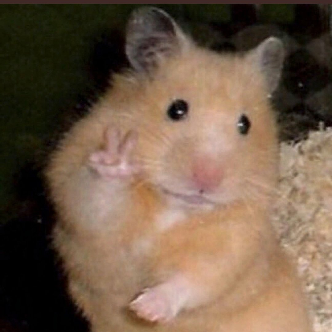 i bark at my screen tweet media