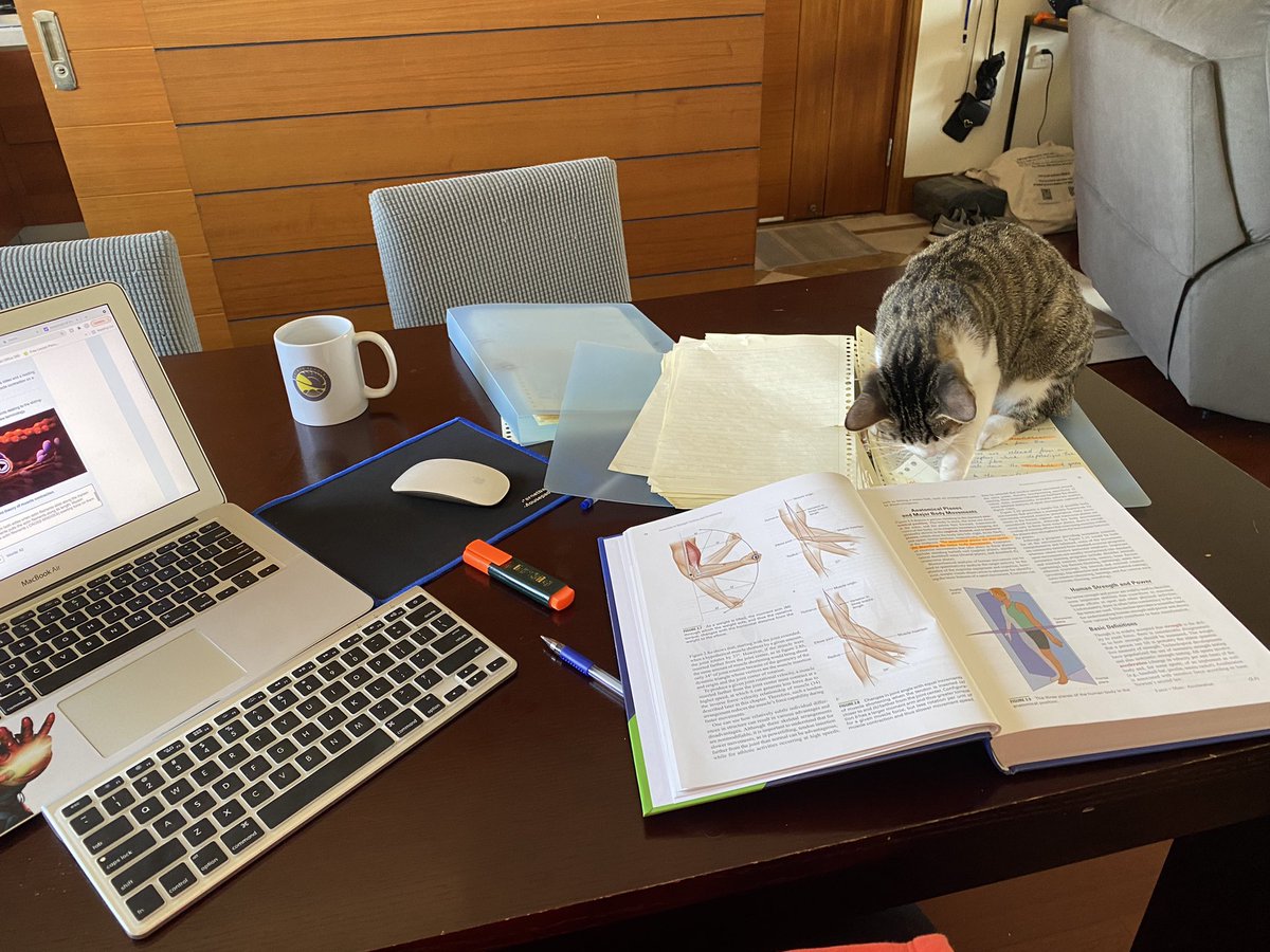 choccy06's tweet photo. I also want to learn … 🐱@OU_Sport #E236 #E235 https://t.co/bVrTPd8TVV