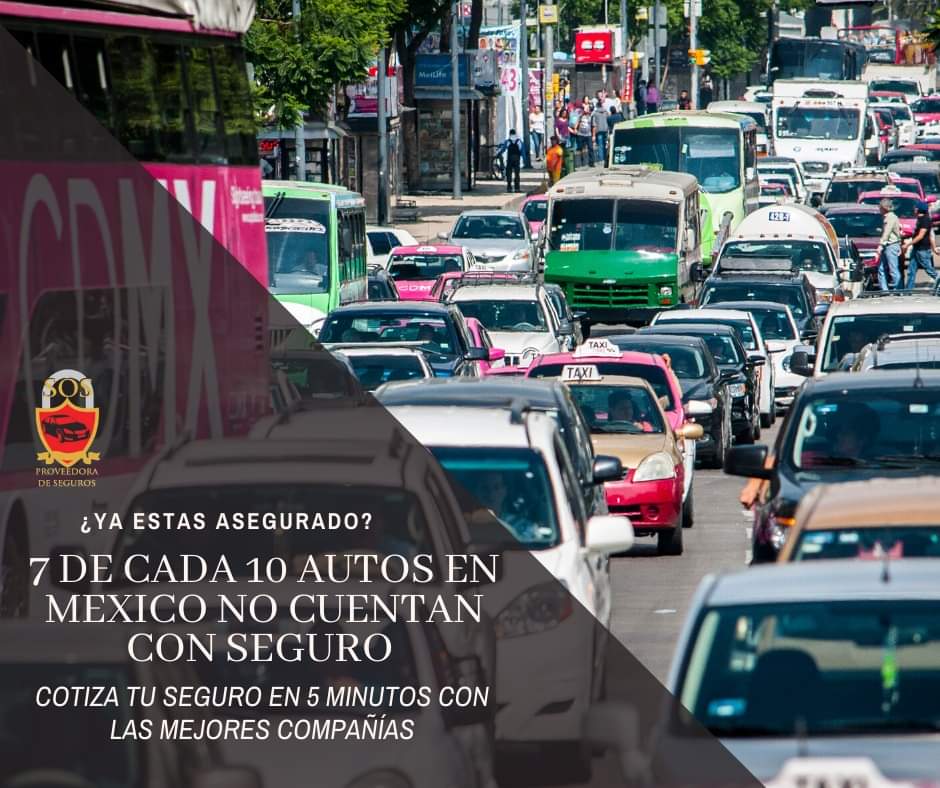 SOSProveedora's tweet photo. Porque nunca sabes quien estara detras del volante.
contactanos a traves de nuestras redes sociales o atraves de nuestros numero que aparecen en la pagina.
#cuautitlan #cuatitlanizcalli #mexicoqueretaro #circuitomexiquense #evitaaccidentes #mexicopuebla #circuitoexterior https://t.co/4njWyRRmPs