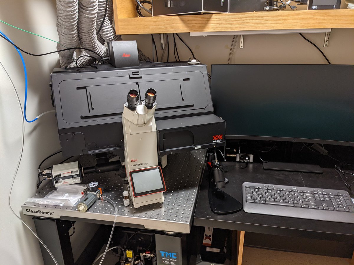 oryamush's tweet photo. New toy in the lab! Can't wait to study tumor immunology with this @LeicaMicro #THUNDER!
@MGHCancerCenter
#tumor_immunology #Immunotherapy #organoids https://t.co/VwPbt2zBGR