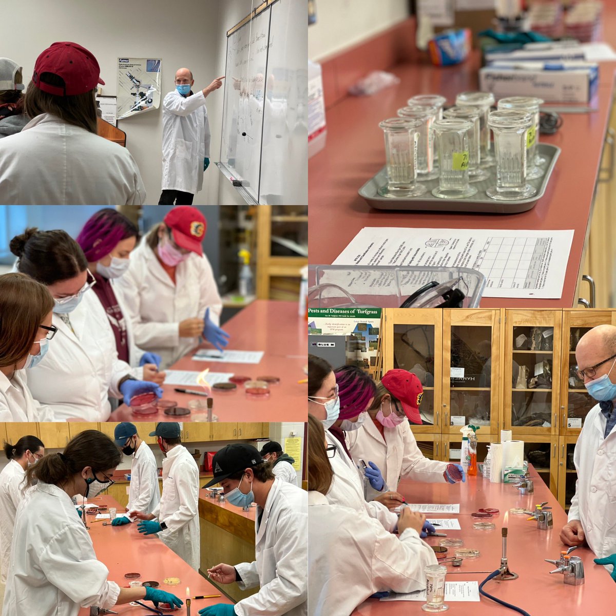 I spent time in the WTR 2330 microbiology lab today! Thanks David Johnson and class for having me in lab today! Such great learning in our Land and Water Resources Diploma Program!! <a href="/OldsCollege/">Olds College of Agriculture & Technology</a>