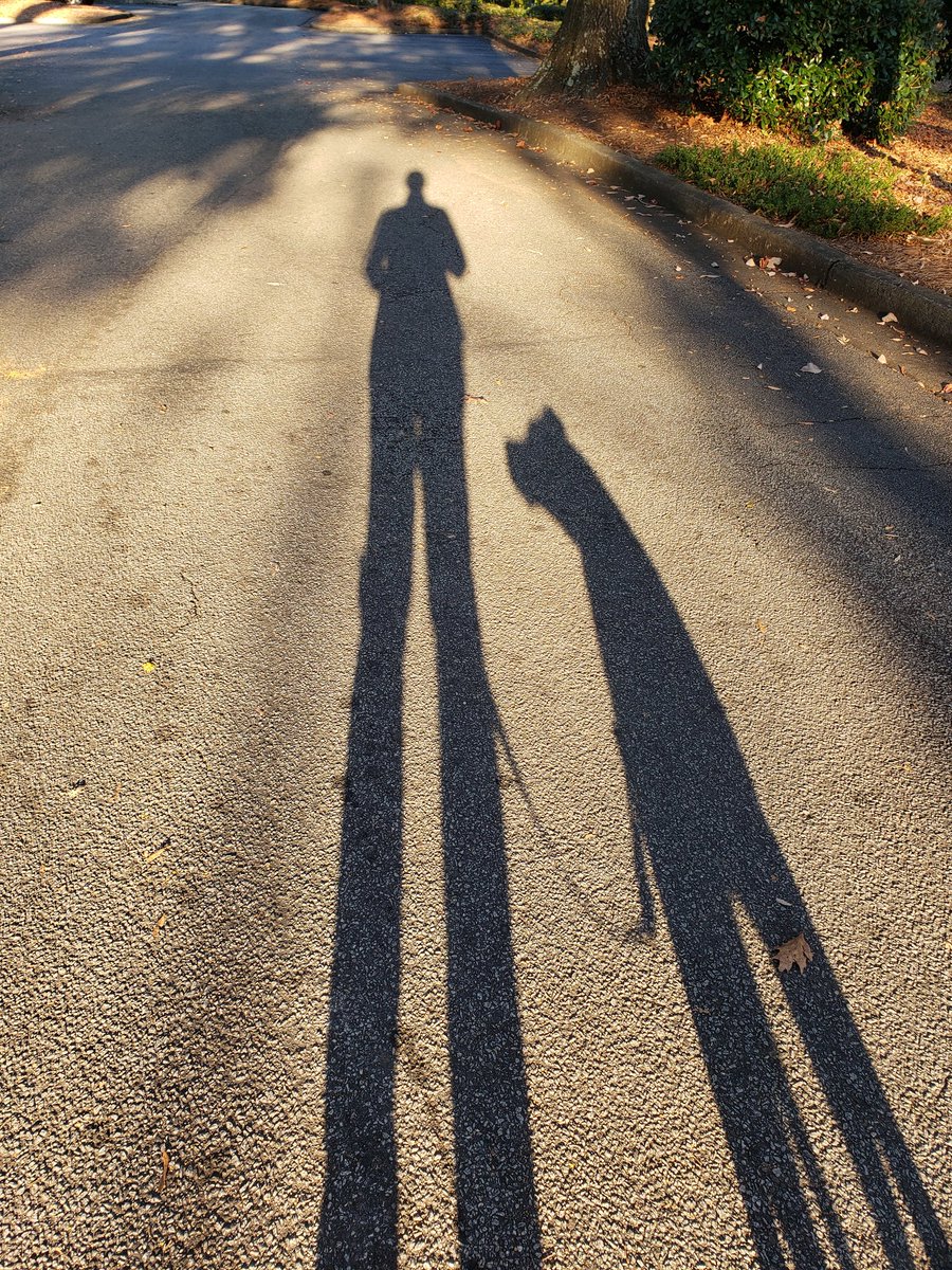 DeborahAGates's tweet photo. Loving my evening walks with this dog❤ https://t.co/1w807ecf6Q