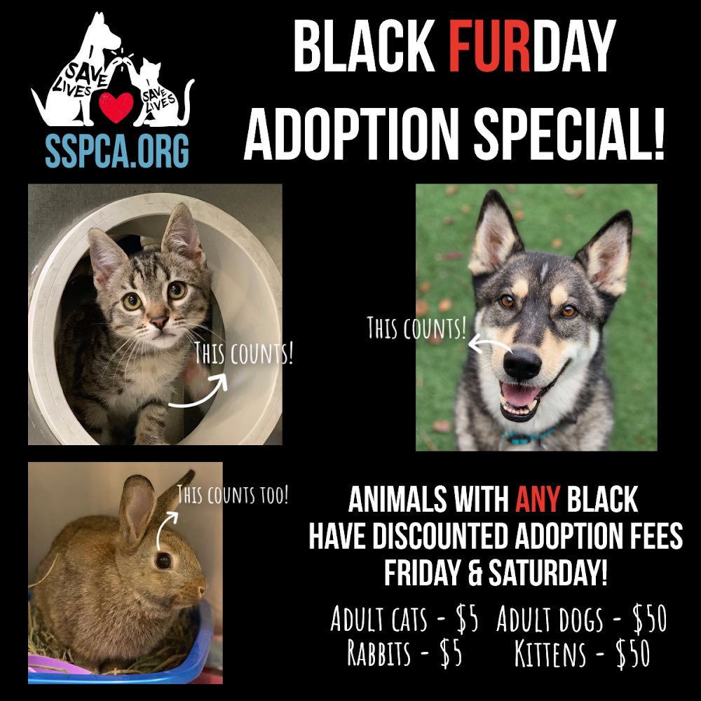 Sacramento SPCA tweet media