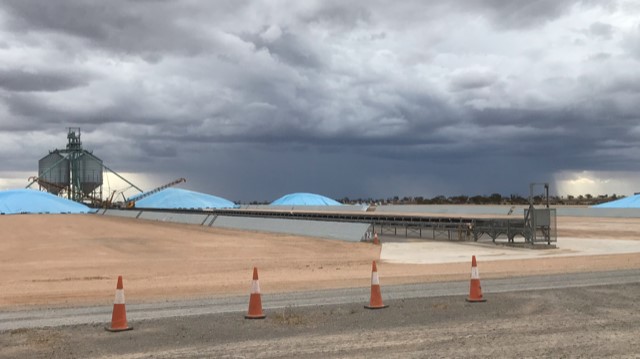 CargillAUS's tweet photo. Storms building up over the #GrainFlow sites at #SeaLake and #Pinnaroo
Fingers crossed for what weather holds for the growers in the coming days
#grains #cargill #agtwitter https://t.co/L72V89RBbL