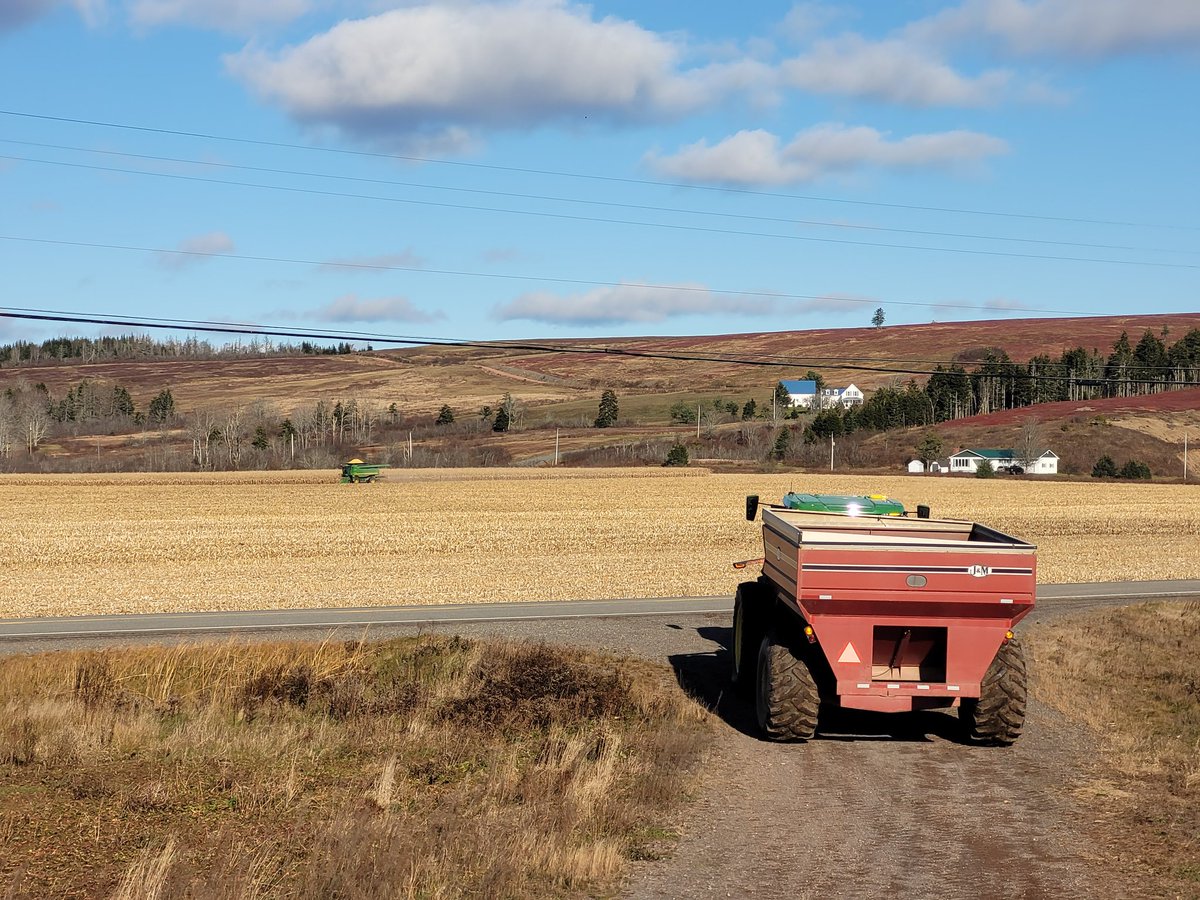 #JMHarvest    the 750 going for another load of 🌽
