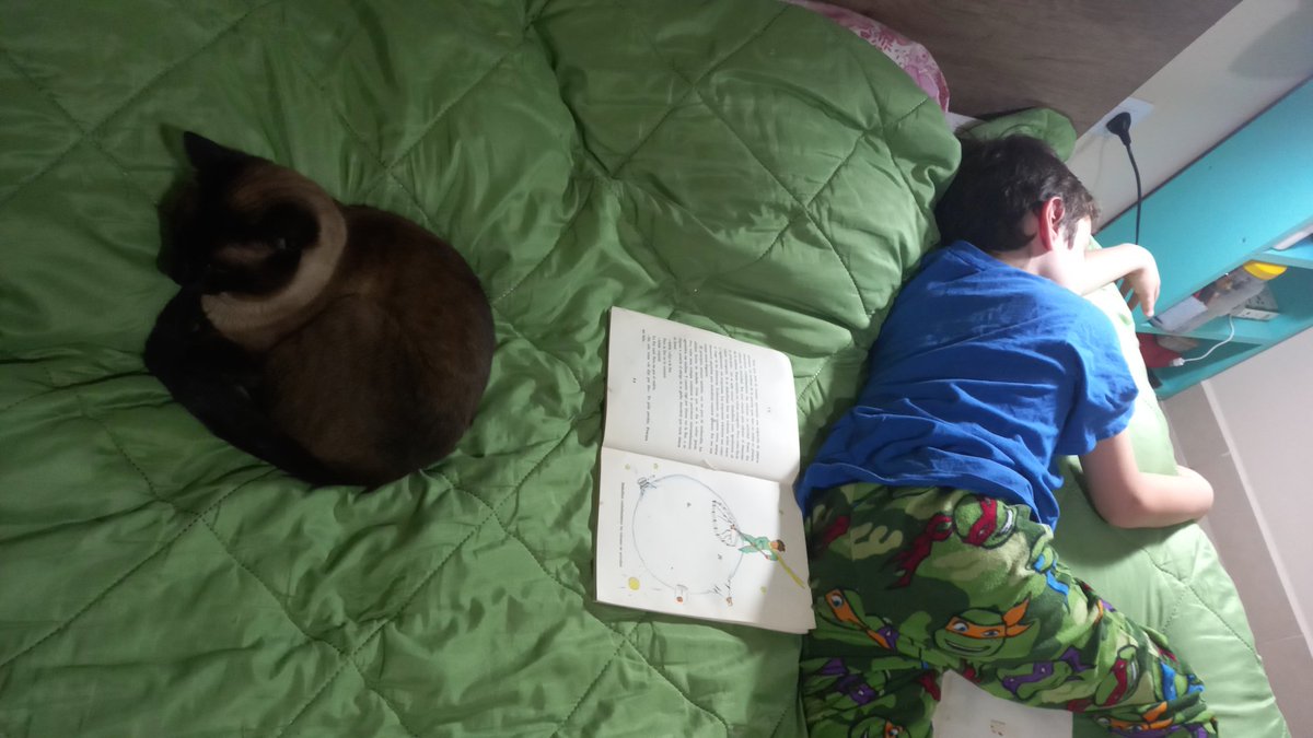 anitaremis88's tweet photo. Tener una copia de "El Principito" del año 1973 de mi mamá. Leerlo con mi hijo de 6 y saber que duerme en el asteroide B612.  Ahora sumale compañía felina. Nadie merece tanto https://t.co/pP4r4AhNmk