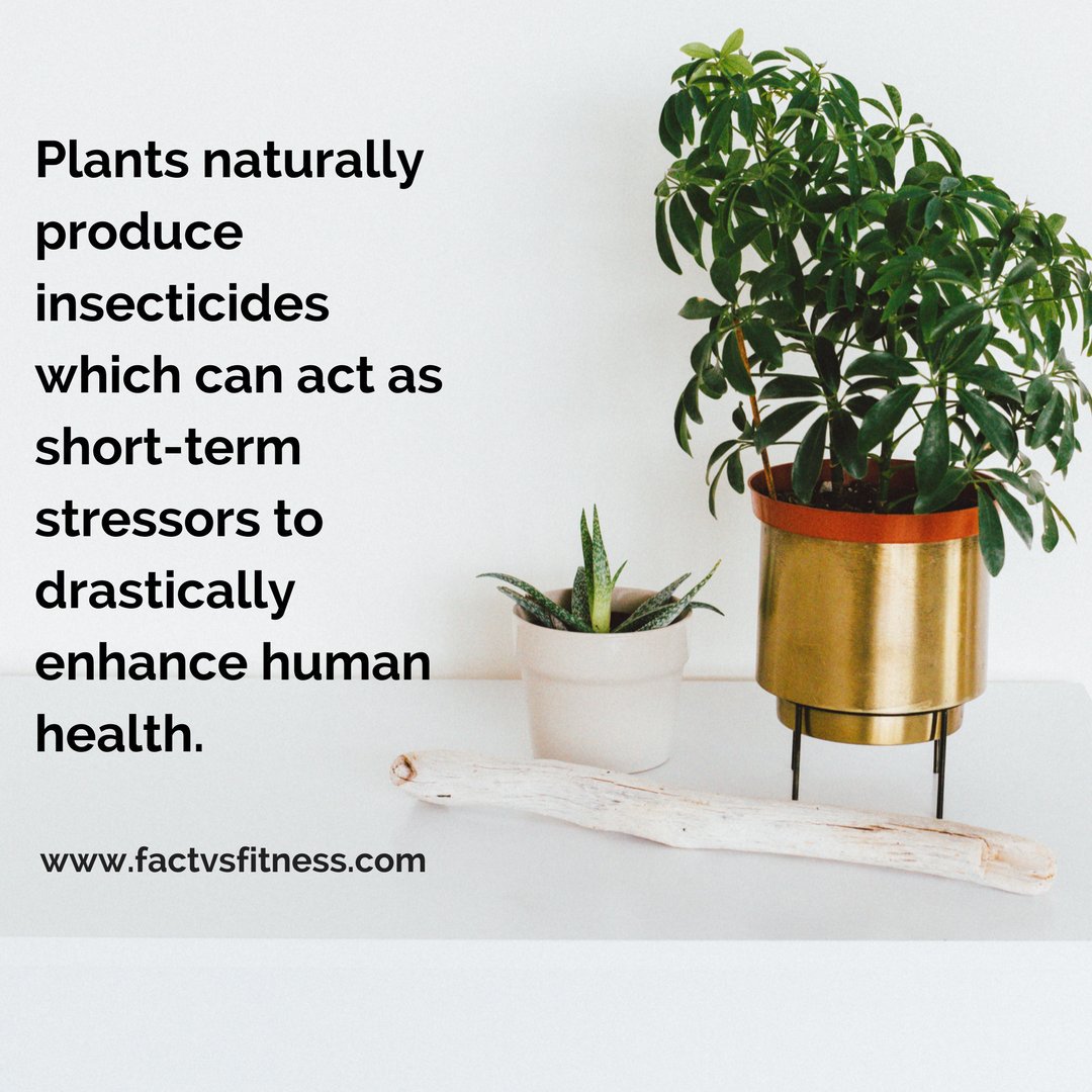 OrganicLiveFood's tweet photo. https://t.co/A5emcIZfLy