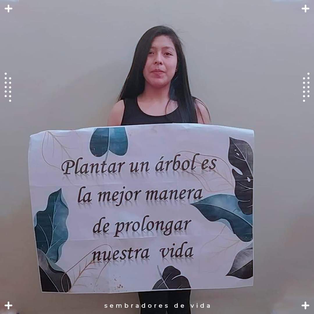 ecosembradores's tweet photo. 👩🌳👨‍🦰🌳 Una pequeña acción puede generar un gran impacto en nuestro futuro y en el de los demás 

"Plantar un árbol es la mejor manera de prolongar nuestra vida" 

.
💚🌱🌳
🌴
#MedioAmbiente  #ecologia #cambioclimatico #educacionambiental 
#SembradoresdeVida https://t.co/BafRUmt0C4