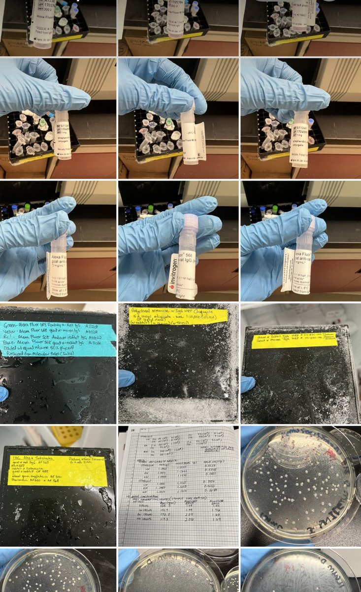 Saw a funny post about Grad students’ and postdocs’ camera roll and quickly took a peek at my own! I can’t stop laughing! 😅😅😂😂