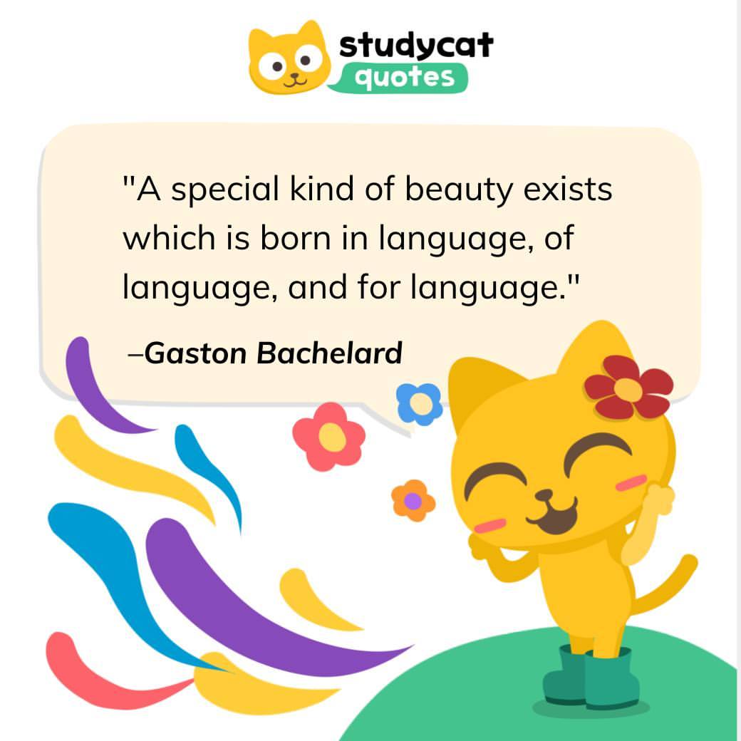 Studycat_JP's tweet photo. 好きなフレーズや言葉はありますか？✨
中国語では誰かを励ますときには「油を足す」という意味の「jiāyóu加油」と言う言葉があるそうです！👏📣

#Studycat #子ども英語 #おうち英語 #語学教育 #SmartEd https://t.co/CP58rkdZOm