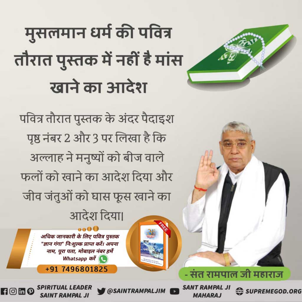 #MeatEatersViolate_LawOfGod
Supreme God only directed his souls to consume fruits, vegetables and all kinds of vegetarian food.

Consuming non-vegetarian food is a heinous sin which can never be forgiven under the constitution of Supreme God..