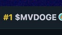 MetaverseDoge_'s tweet photo. "We are not here to take part we are here to take over."
WE ARE METAVERSE DOGE!!

#DIAMONDHANDS #BSCGems #cryptomoonshots #METAVERSE #dogecoin #BABYDOGE #1 #DEXTOOLS #LFG #TOOTHEMOON https://t.co/VBnRTzpeoh