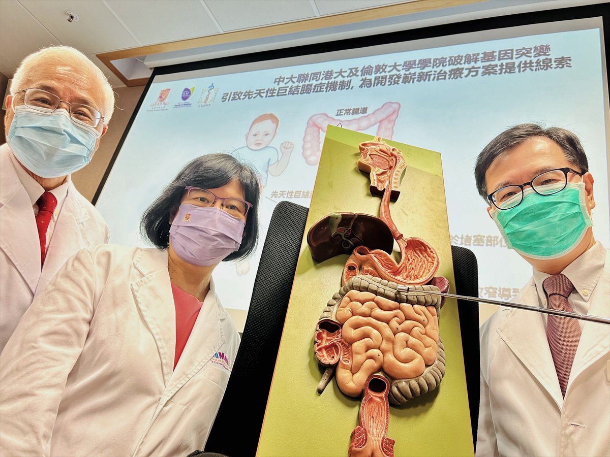 CUHKMedicine's tweet photo. New study may bring hope for the babies with #Hirschsprung’s Disease #HSCR 👶. It shows the supplementation of cadherin-19 could be a potential therapy for HSCR patients.
▶️Full article in @AGA_Gastro: https://t.co/hOU9ycx6jn
@CUHKMedicine @hkumed @UCLchildhealth https://t.co/PDGLDBgox6