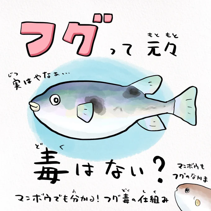 笑う角にはフグ来たる #いい笑顔の日 