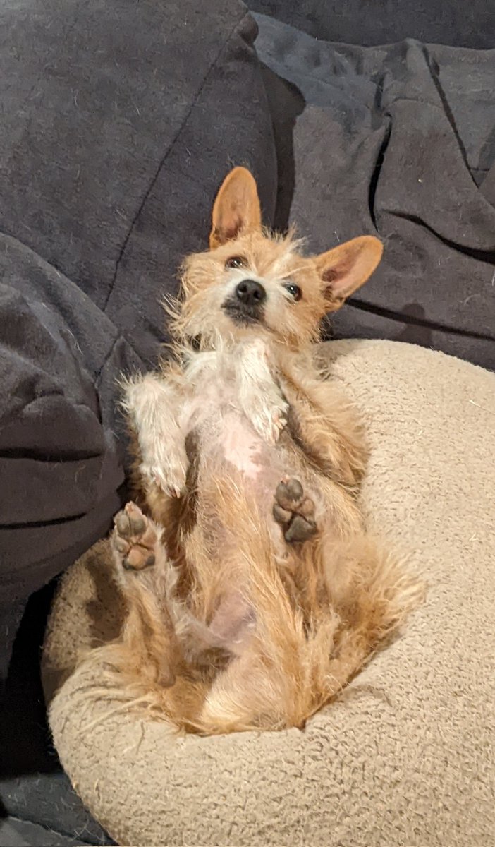 Michelle is avoiding this website now tweet media