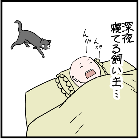 マジびっくりしたよ!w
 #ニャンコ #まんが #猫 #猫あるある #猫漫画 #ペット #飼い主 #エッセイ漫画 #キャット #ねこのいる生活 #4コマ 