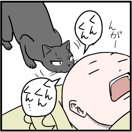 マジびっくりしたよ!w
 #ニャンコ #まんが #猫 #猫あるある #猫漫画 #ペット #飼い主 #エッセイ漫画 #キャット #ねこのいる生活 #4コマ 