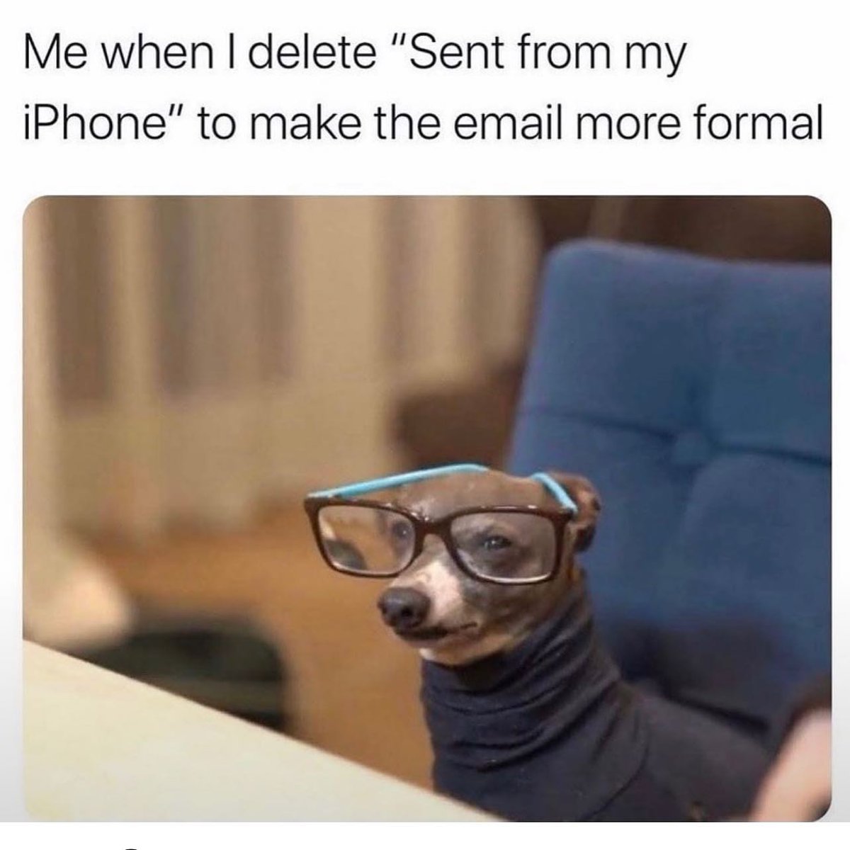 Adulting at its finest. ✉️ 
📷 : mypuppysays