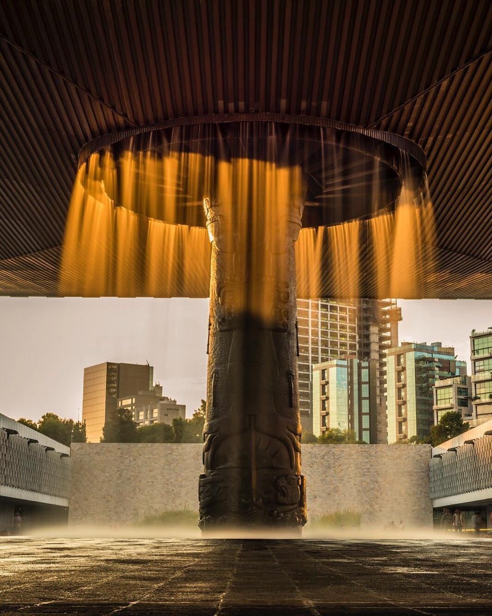 Master Class Photographers tweet media